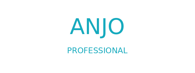ANJO logo